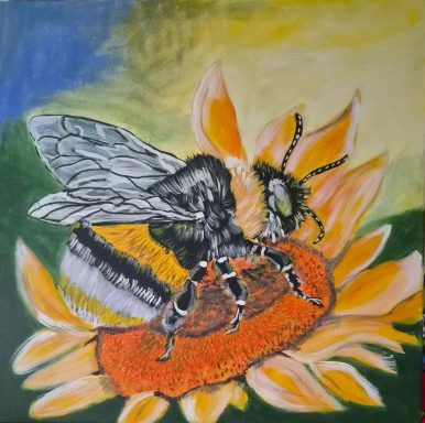 Die Hummel