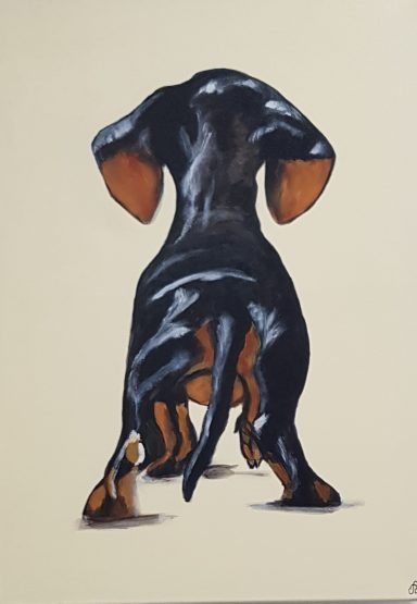 Der Dackel